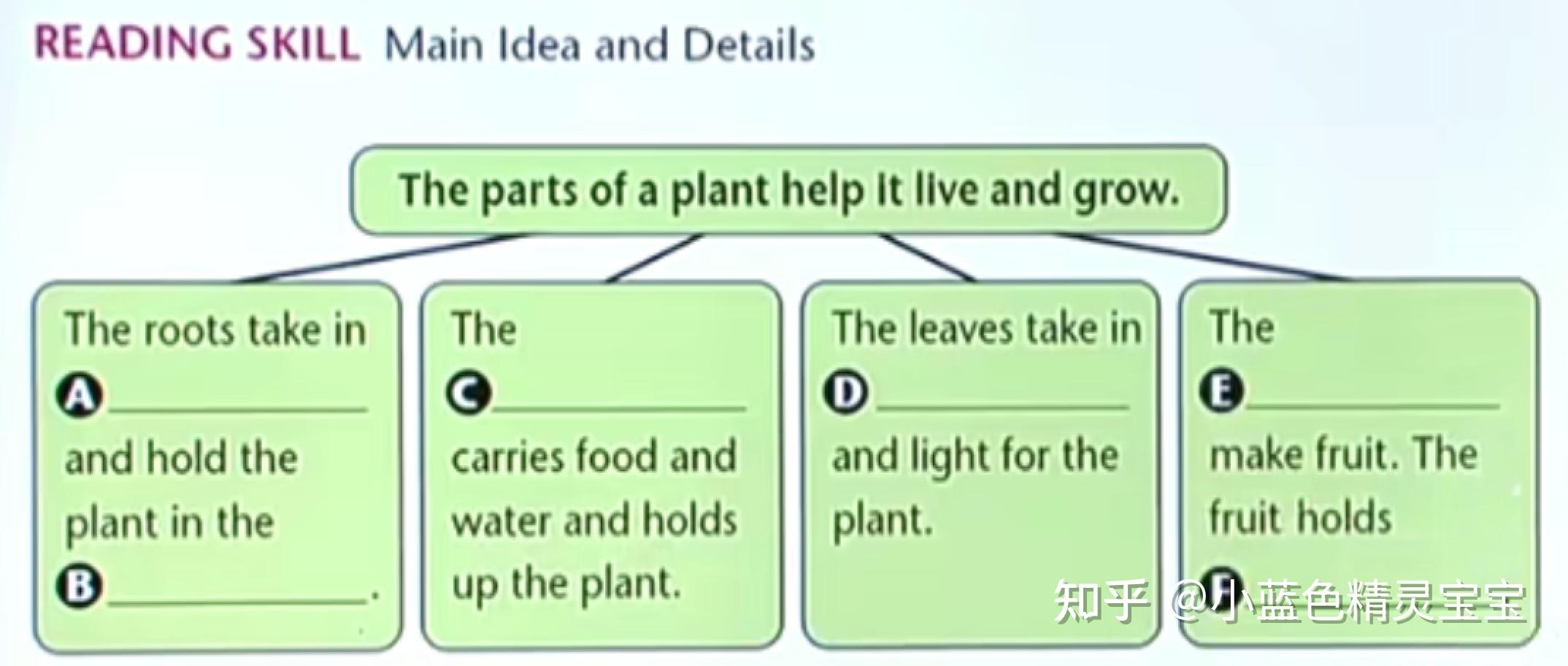 01 parts of plants