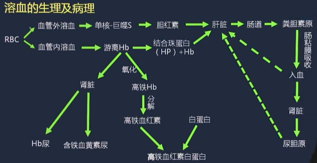 溶血总论 - 知乎