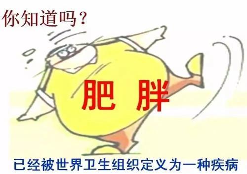 v2-41da93e2f4ca05935540c9e985fbf3bd_1440w.jpg?source=172ae18b