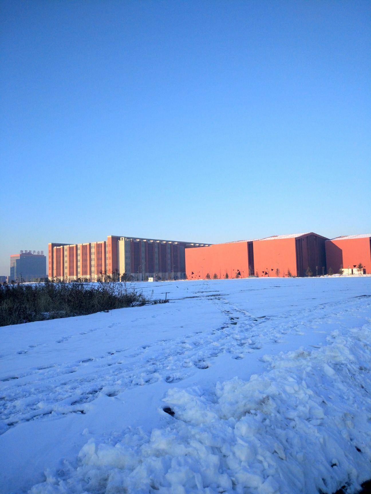 在东北大学浑南校区读书是怎样的体验