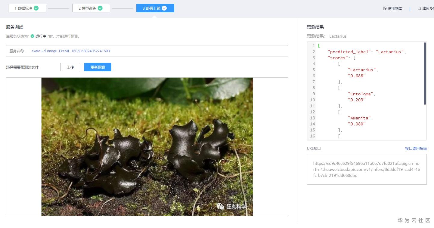 手把手教你使用ModelArts的自动学习识别毒蘑菇分类 手把手教你使用ModelArts的自动学习识别毒蘑菇分类