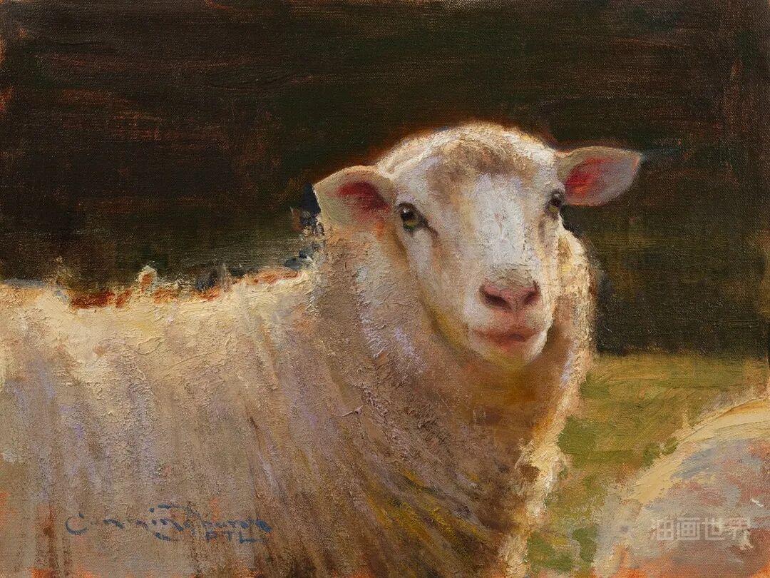 沉思中的羊| 美国画家T.J. Cunningham - 知乎