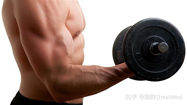 上斜哑铃弯举 VS 牧师椅弯举,有好也有坏,哪种更有效呢? - 知乎