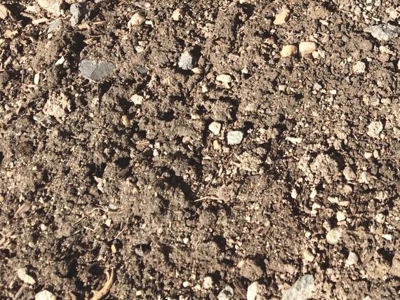 黄河源区生态环境恶化加剧