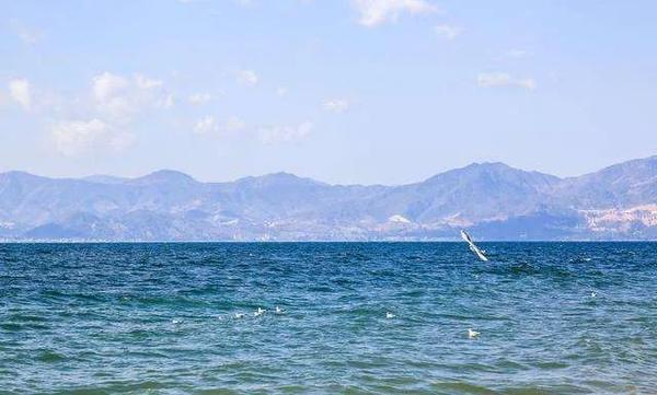 引雪域高原之水，惠滇中千万之民！“大国重器”助力滇中引水工程 知乎