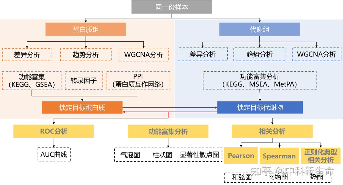 在蛋白质组+代谢组的关联研究中,如何快速锁定关键蛋白质和代谢物呢? - 知乎