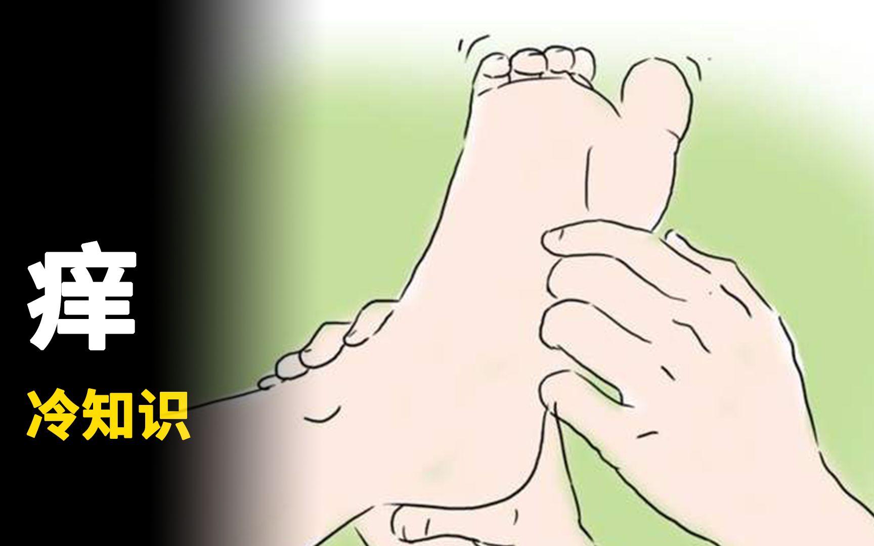 我挠死你个瓜娃子