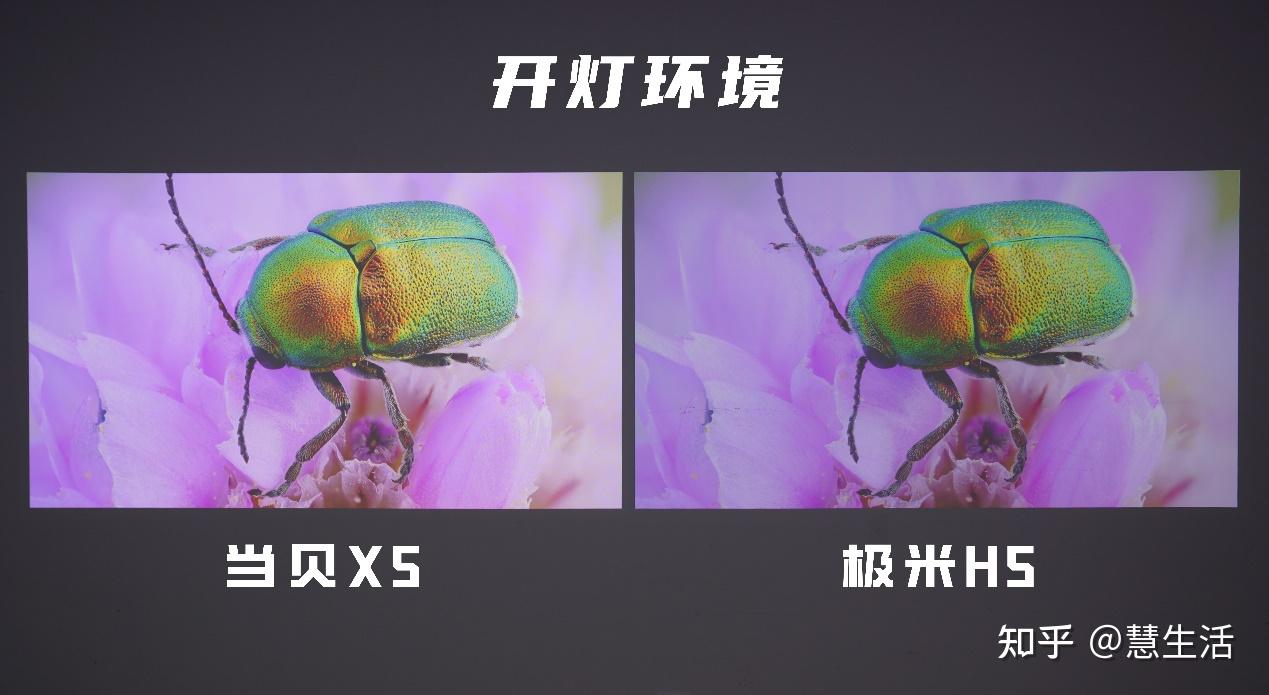 亮度天花板,最新顶级ai芯片,6000价位档新任性价比之王?