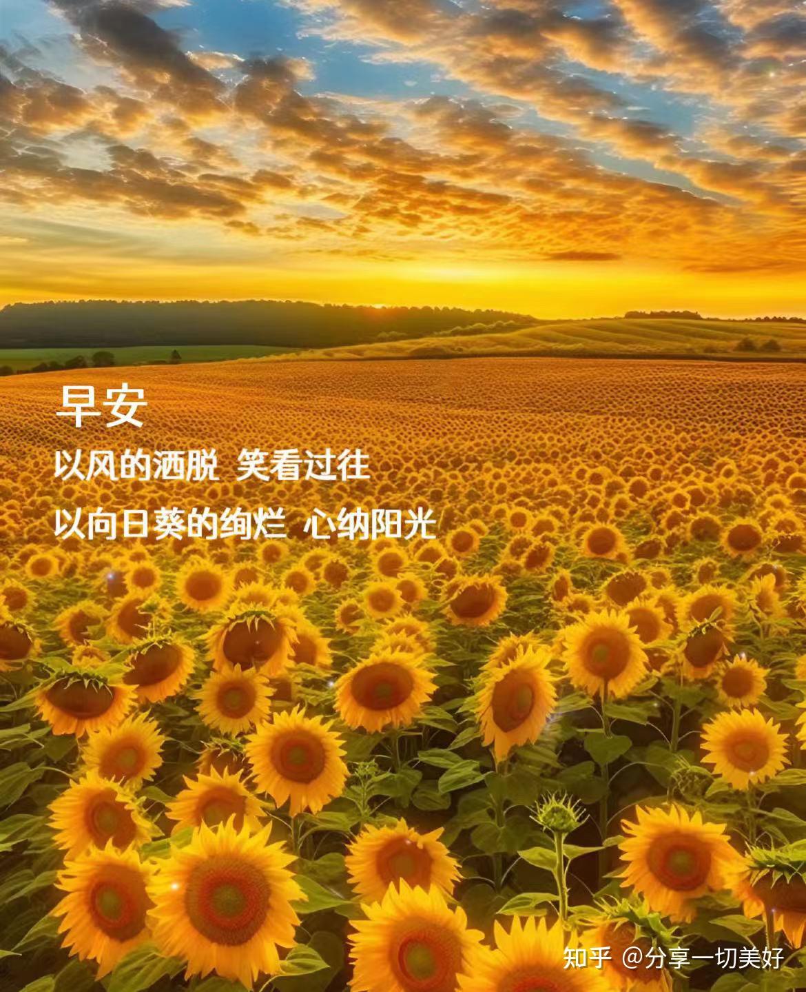 文笔和意境俱佳的早安文案和图片 - 知乎