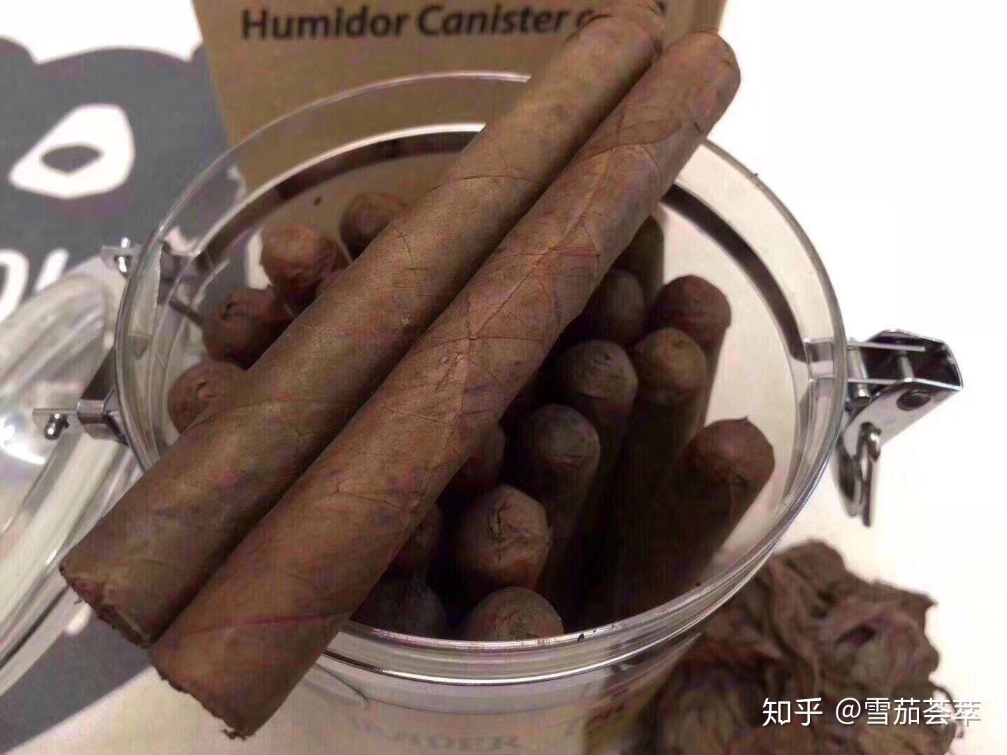 性价比超高的入门茄