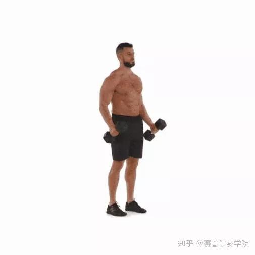 二头弯举小臂酸痛,80%的训练者都忽视的问题 - 知乎