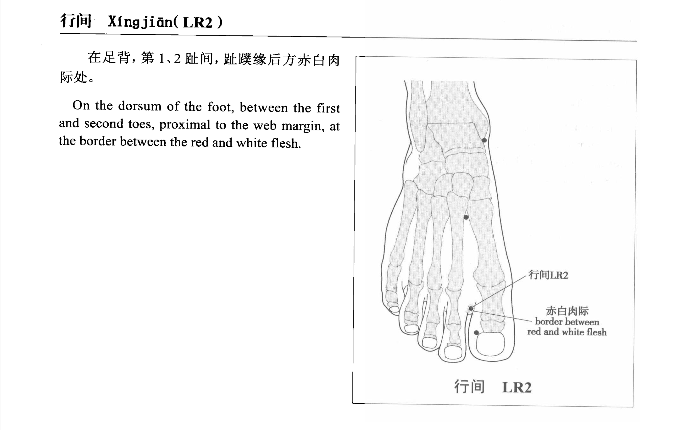 针灸治疗失眠常用腧穴一览 - 知乎