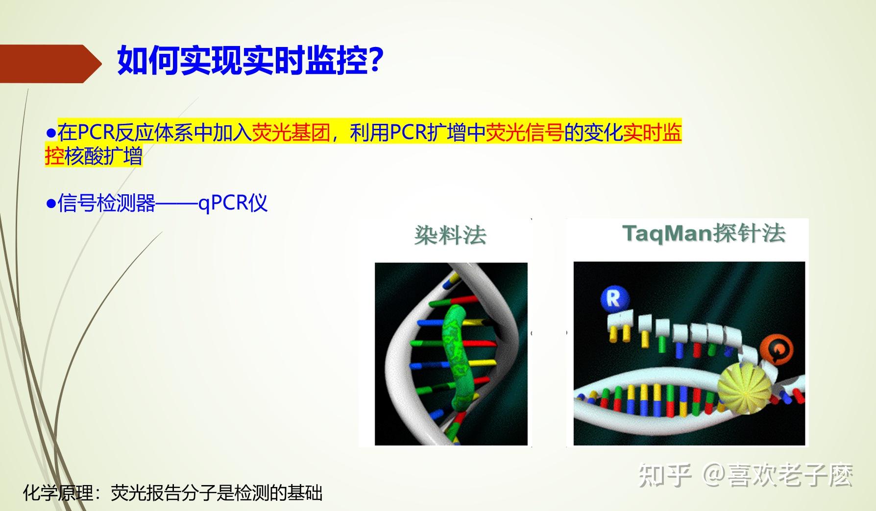 荧光定量PCR的基本原理(染料法+TaqMan探针法) - 知乎