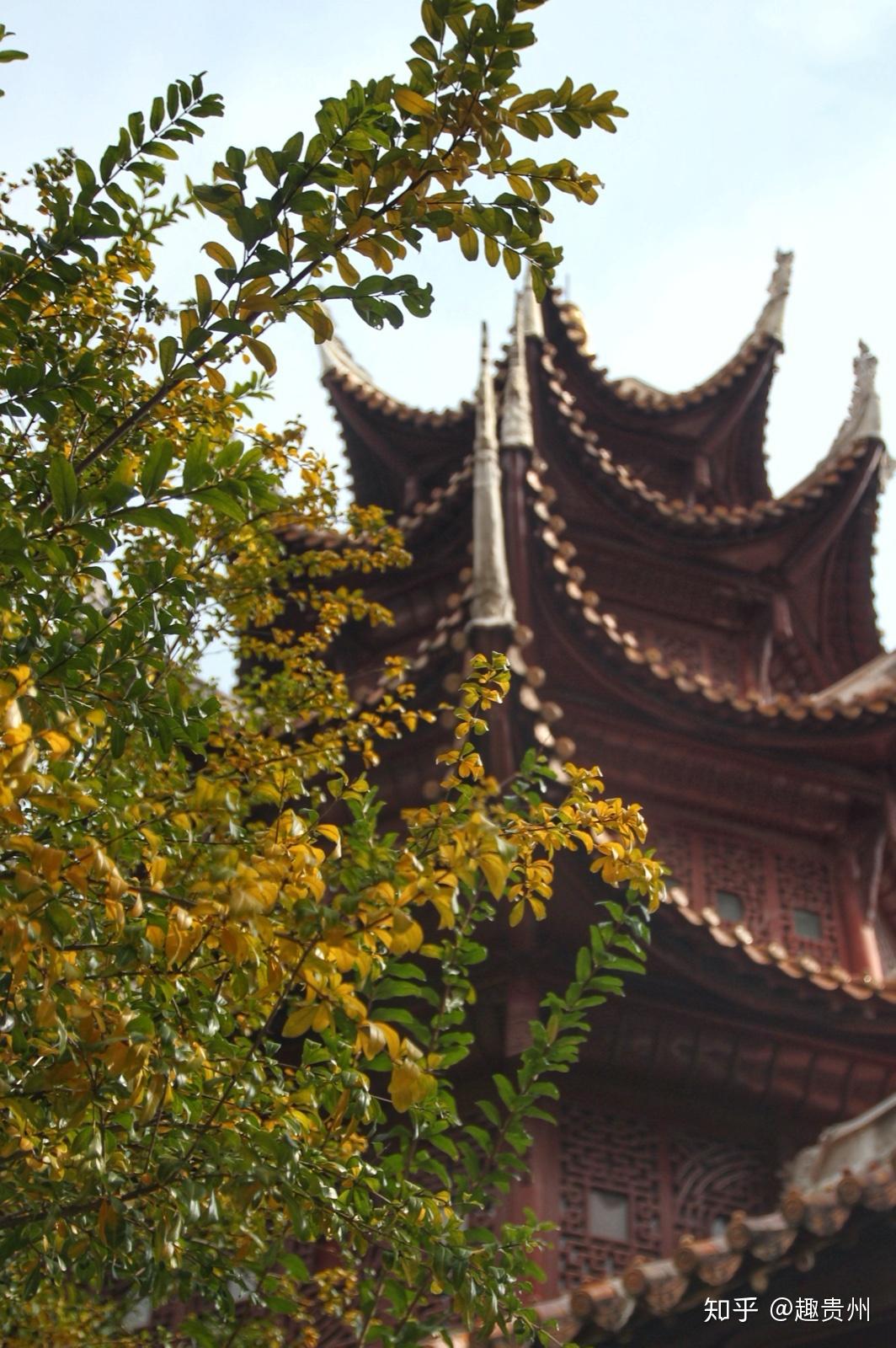 朋友圈摄影大赛想得奖?收藏这条就对了!小众拍照圣地一网打尽 - 知乎