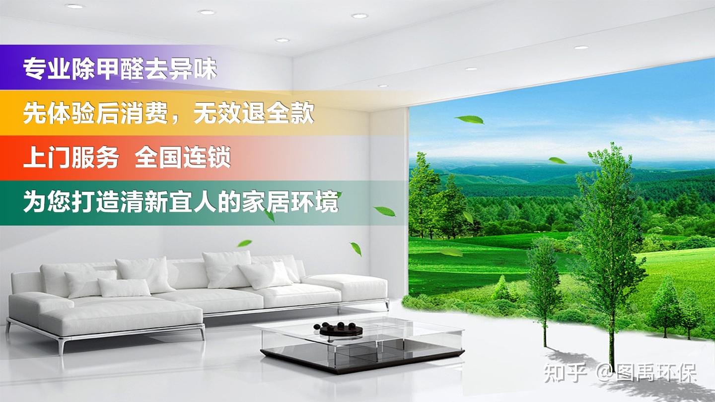 甲醛克星!这样装修,轻松除醛还你清新家 - 知乎