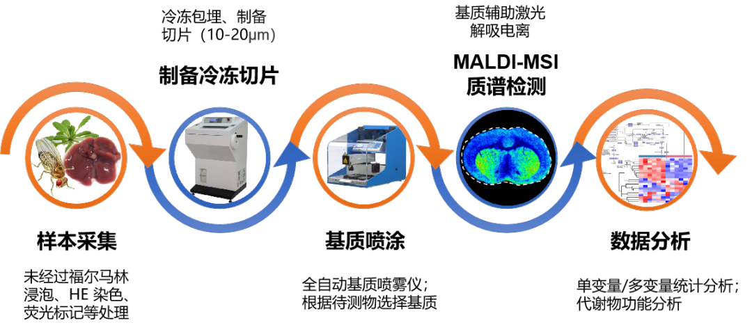 “无微不至”，结构尽现—空间代谢组 - 知乎