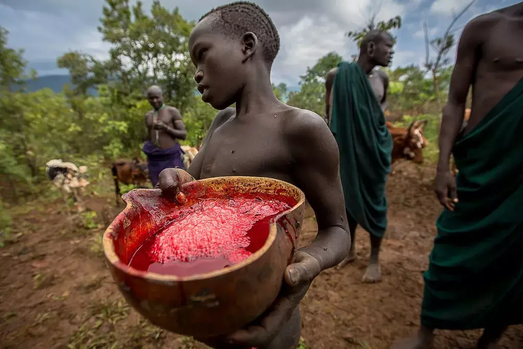 非洲人文平均视力60让狮子闻风丧胆这个非洲高颜值的草原部落太彪悍