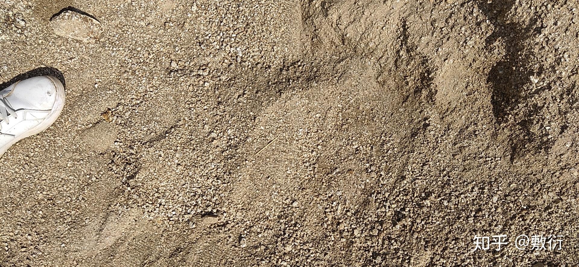 广西南宁山沙 - 知乎