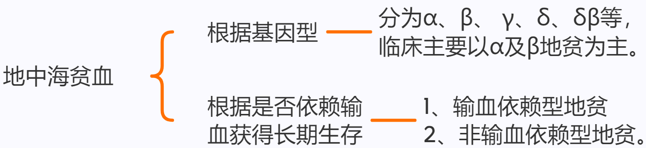 什么是地中海贫血?