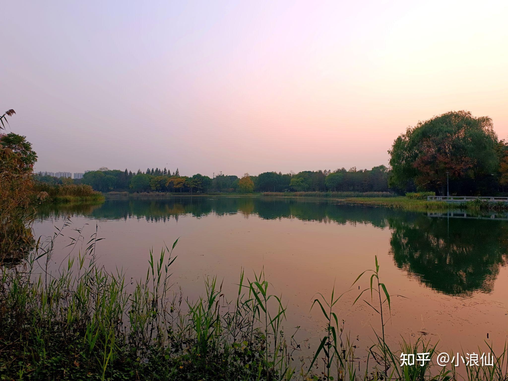 苏州虎丘湿地公园 - 知乎