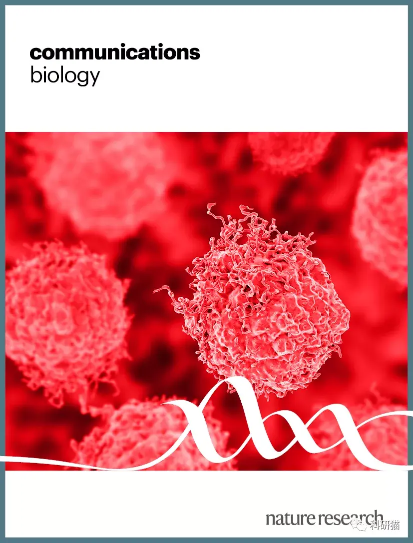 science或nature系列的文章审稿有多少个阶段 知乎