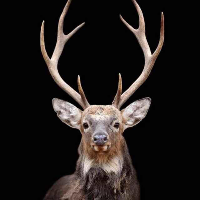 当遇到了一份明知不可行的同性之恋,我该如何