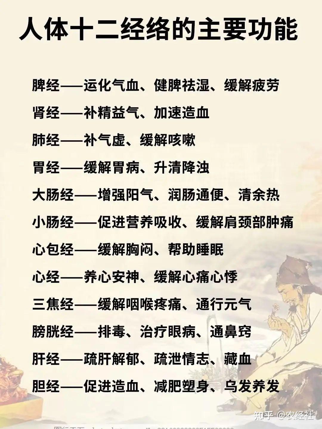 胆经的作用图片