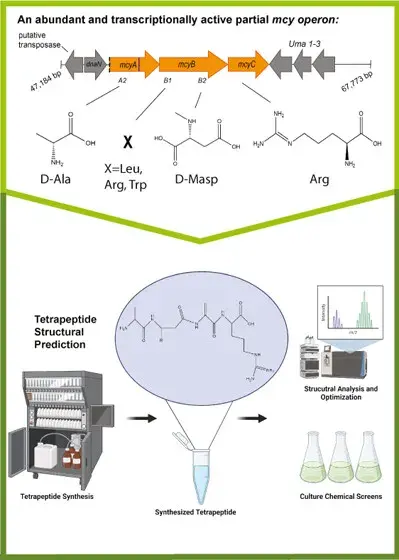 环境科学图形化摘要（Graphical Abstract）的绘制 - 知乎