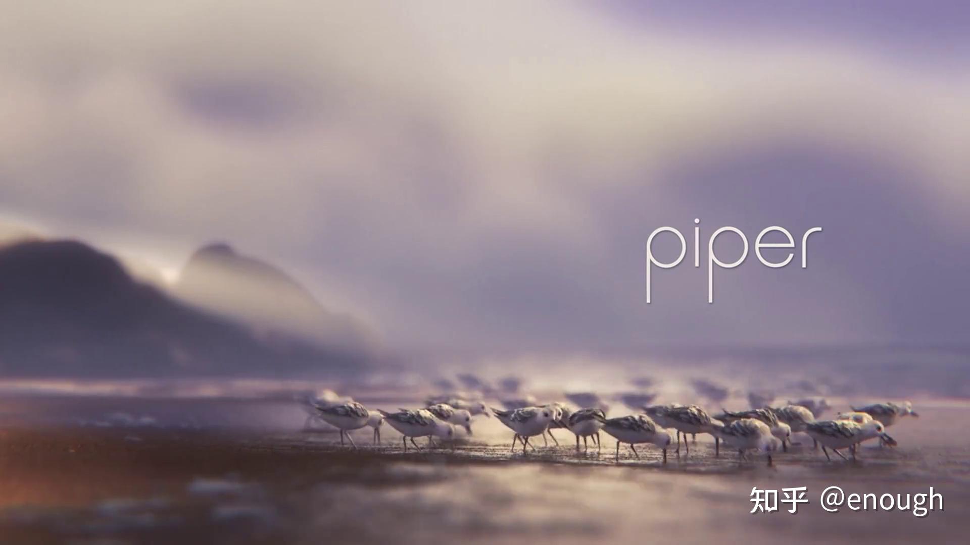 奥斯卡最佳动画短片《鹬》（Piper）:不仅对孩子们而且对我们成年人来说都是一堂美妙的课 - 知乎