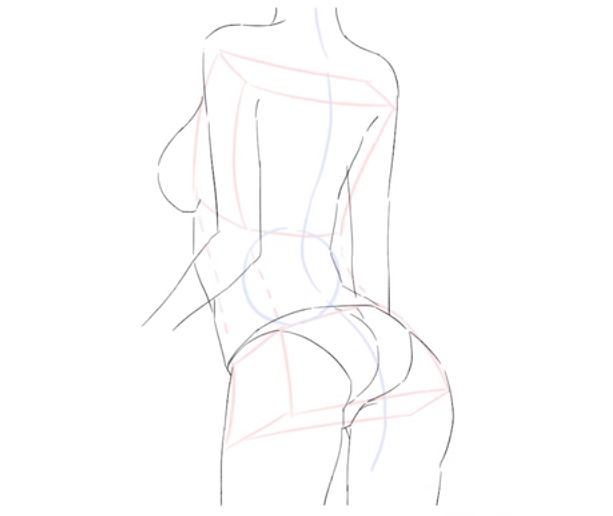 稍微的突起,画好这个肉肉的突起根据我们好的结构来补充肌肉还有皮肤