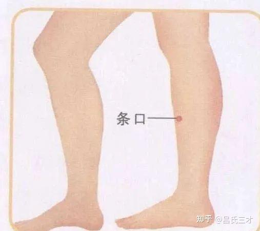针灸常用穴位定位、针刺深度、主治病症 - 知乎