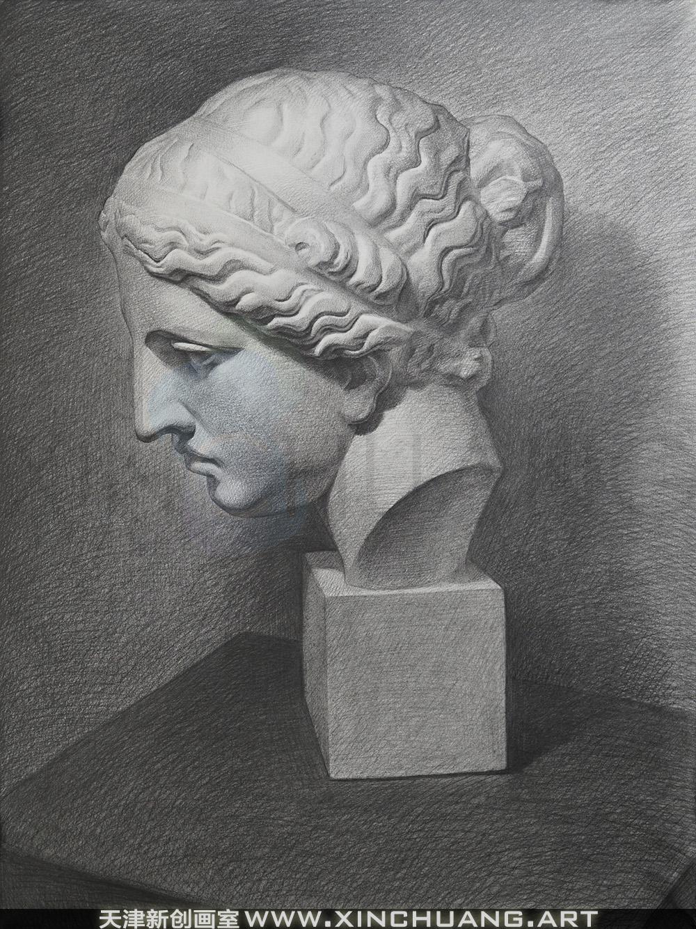 维纳斯石膏头像素描写生示范范画
