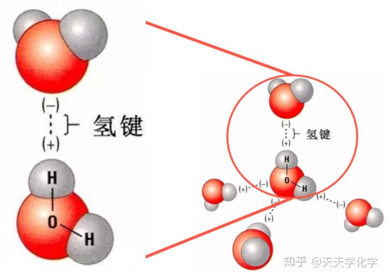 氢键，无处不在的神秘力量！一文读懂氢键的前世今生！——氢键的本质、氢键的研究史、氢键的能量与测定 - 知乎