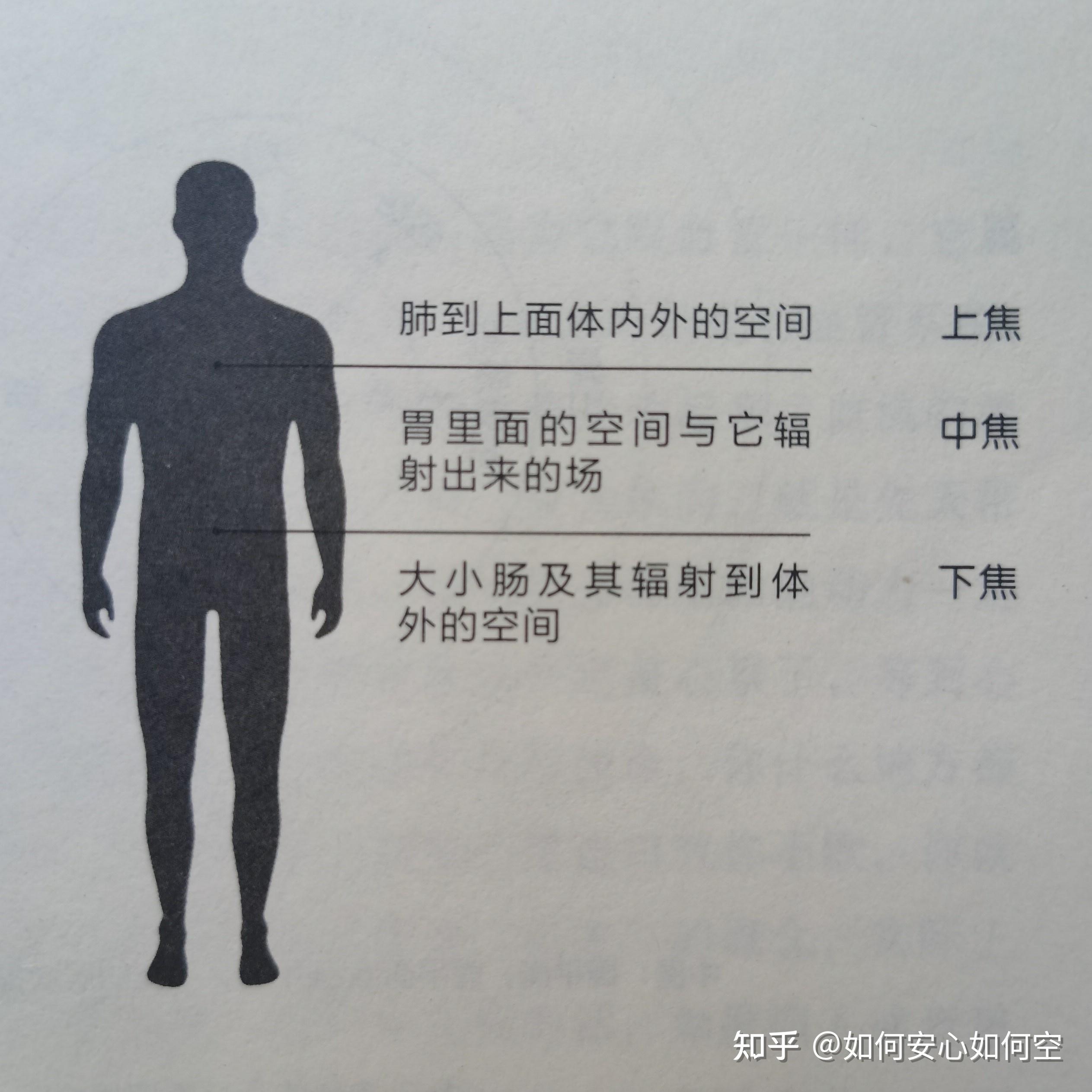 中医的不同方法作用于人体的不同层面,最高的能直接作用于“神” - 知乎