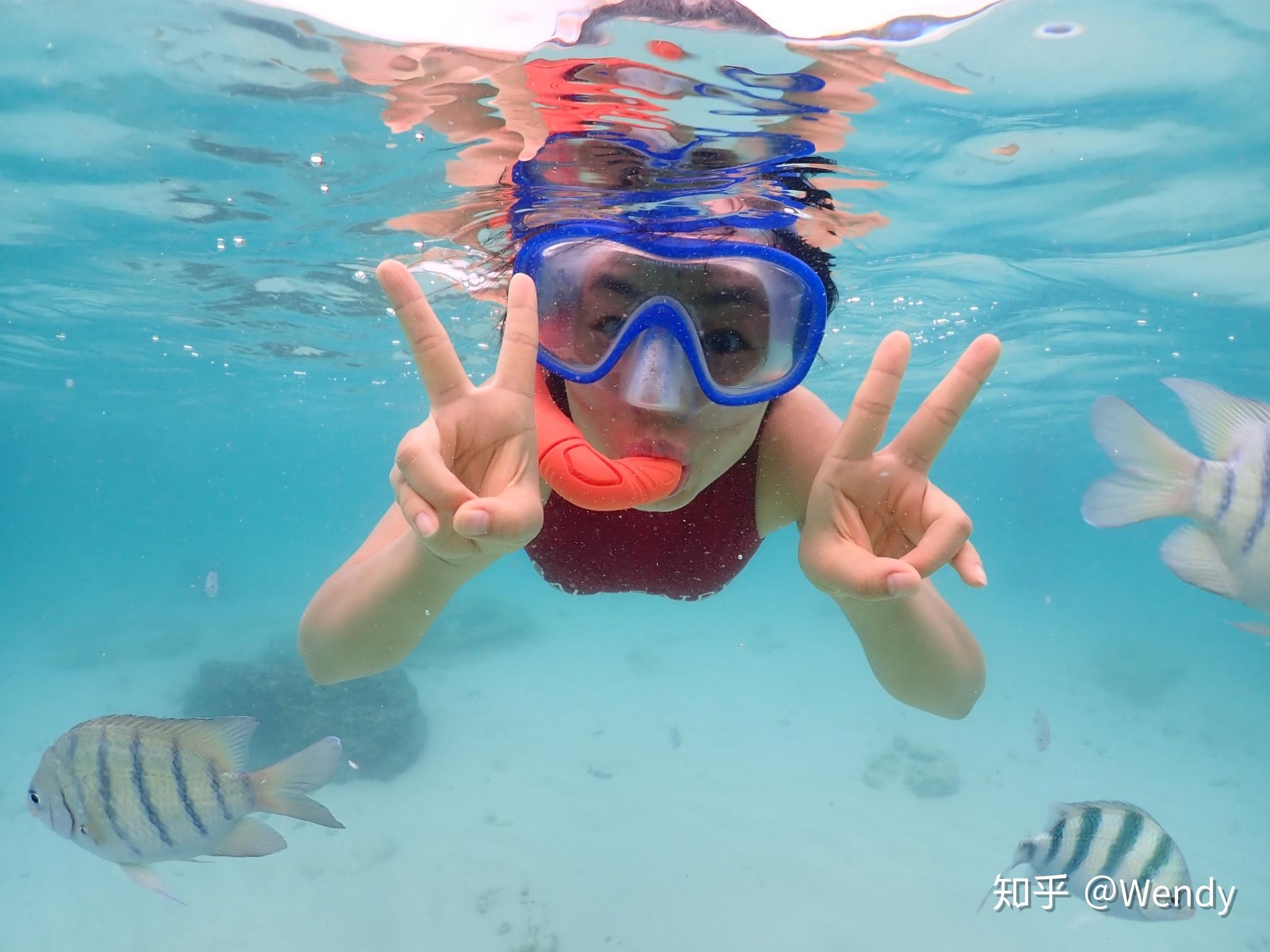 年轻女孩与海龟浮潜高清摄影大图-千库网