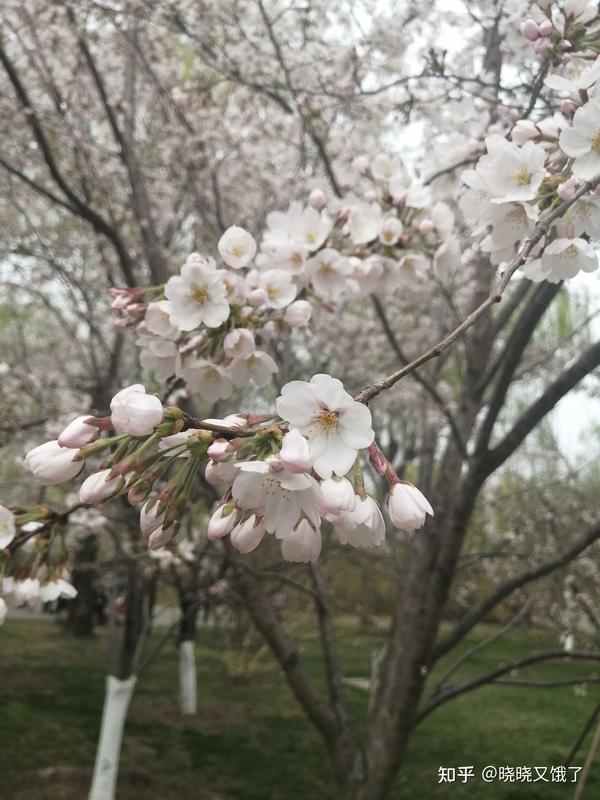赞美祖国的名言 歌颂祖国的名人名言 热爱祖国的简短句子