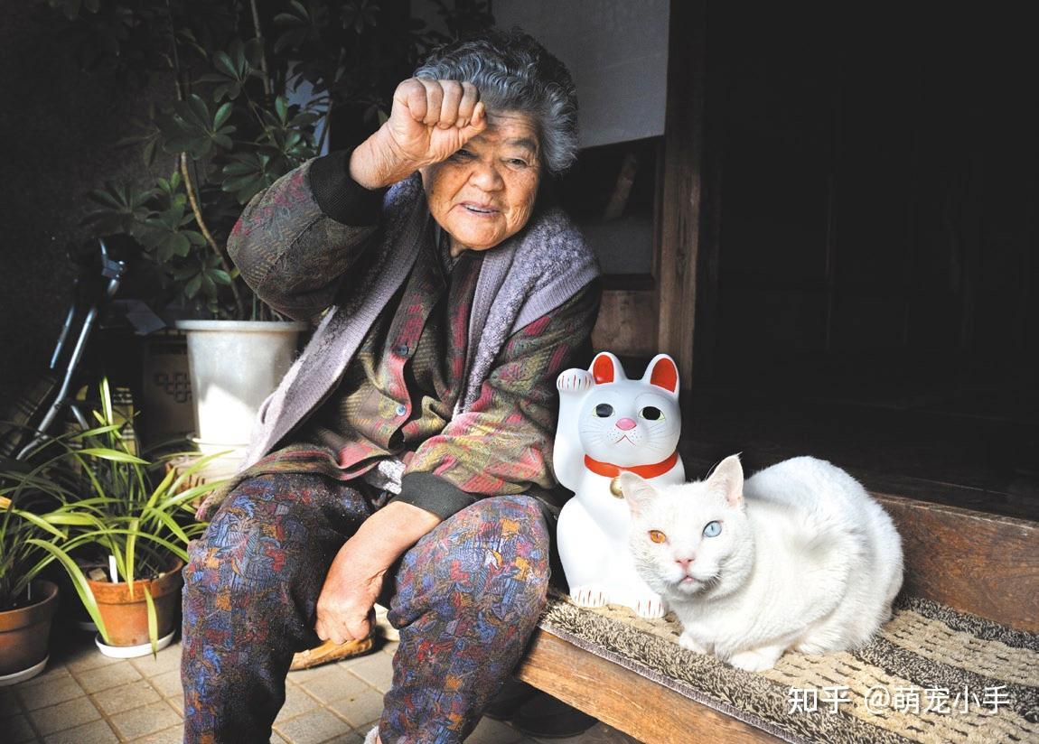 不怕告诉你:长期养猫的人,会有这几种“意想不到”的好处 - 知乎