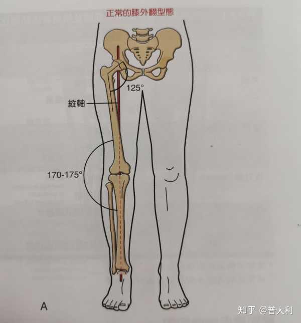 v2-439eff1ac6da9041d2d5b7abe81ff903_r.jpg