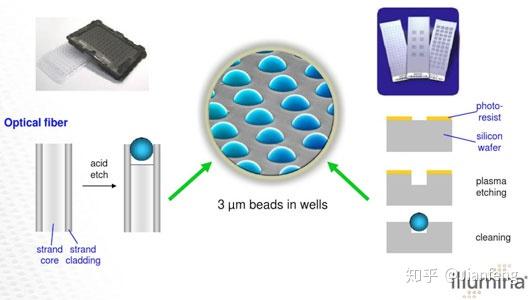 DNA微阵列（基因芯片）简介 - 知乎