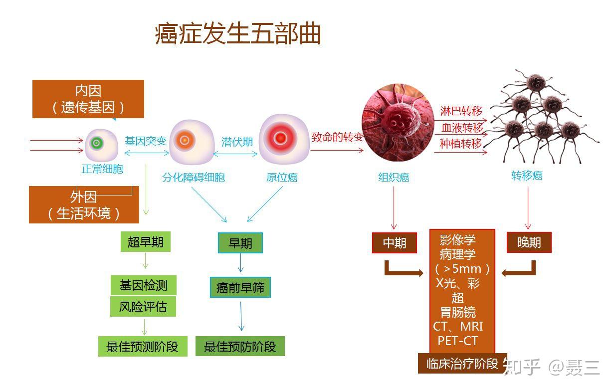 如果人体中有一个细胞癌变了,就一定会发展成癌症吗? - 知乎