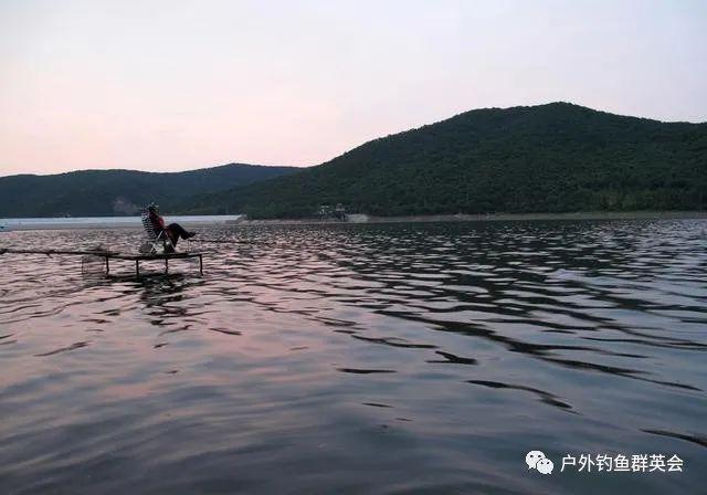 鱼行一条线?从水底环境和鱼类避害本能,解析鱼道