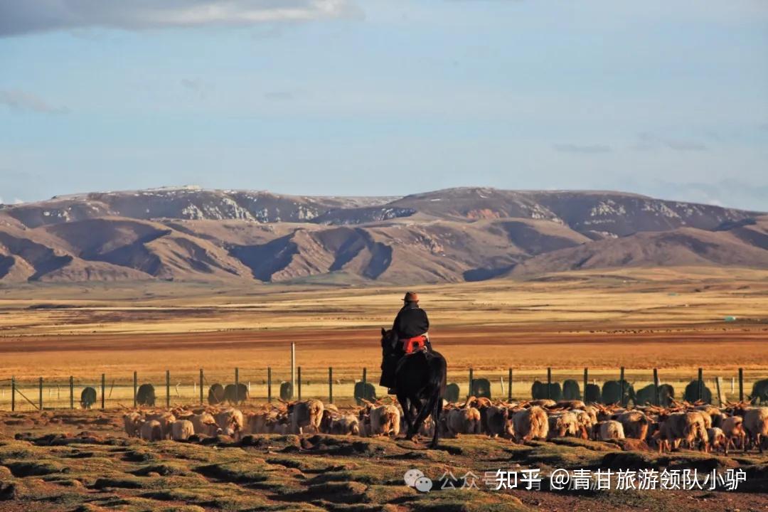 包含西宁旅游攻略自由行三天多少钱的词条