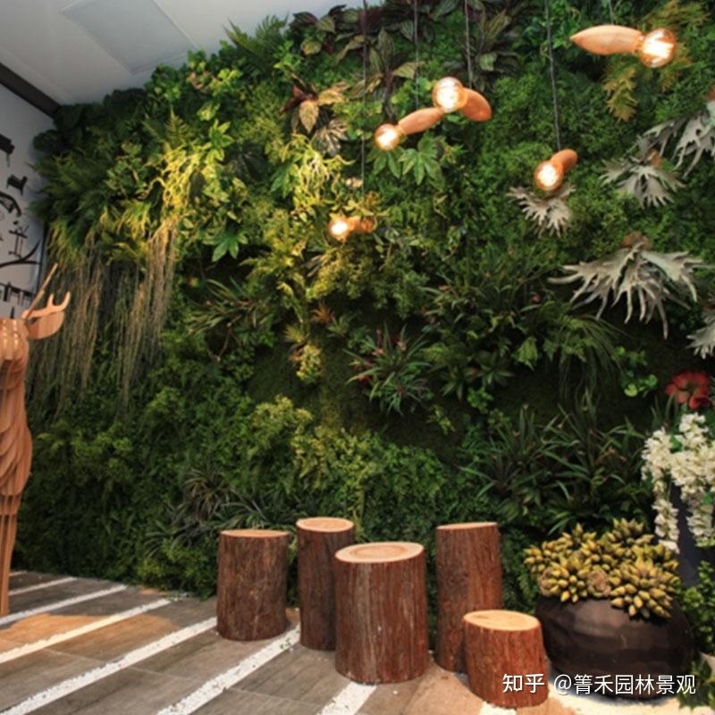 植物绿墙让城市显得绿意盎然 - 知乎