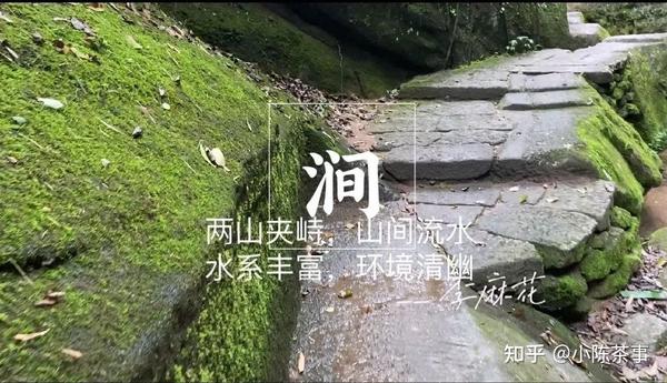 听过牛栏坑、慧苑坑、倒水坑,但三坑两涧里的流香涧,你知道吗? - 知乎