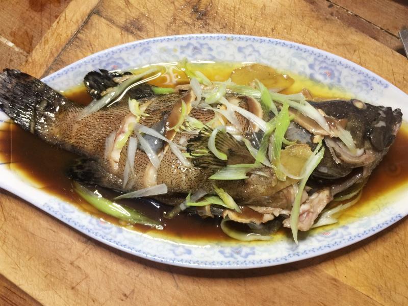 老虎斑这么做好吃 不煎不炒又美味 夏天隔2天吃一次 浑身舒服 知乎 老虎斑这么做好吃 不煎不炒又美味 夏天隔2天吃一次 浑身舒服 知乎