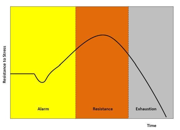 为了维持它的稳定,对压力的反应可分为三个阶段:什么是一般适应综合征