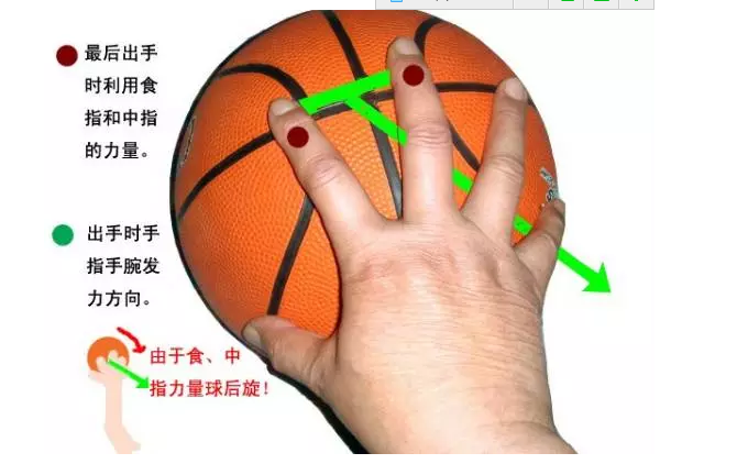 注意,手心千万别挨球!在投篮时指尖用力将球拨出去,使球旋转!