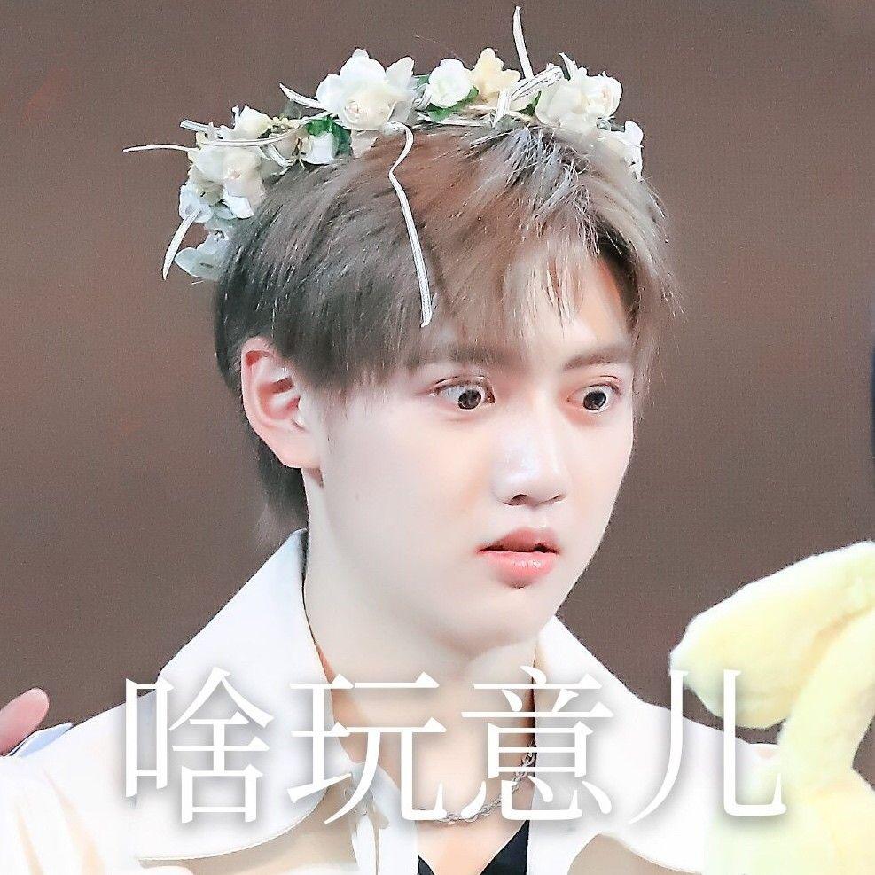 4夏之光5姚琛6翟潇闻7张颜齐夹带私货七哥8刘也9任豪10赵磊11.