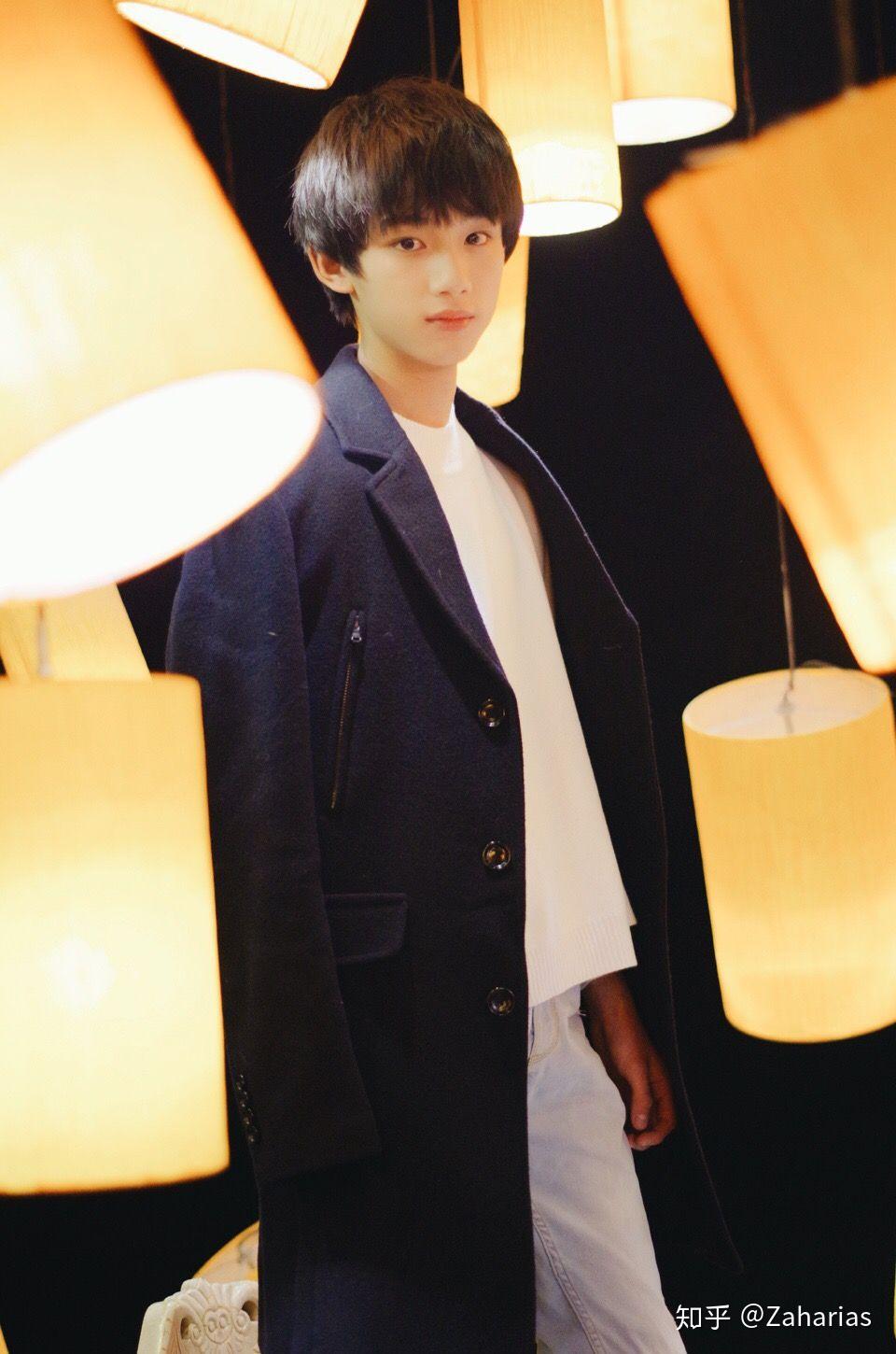 看过十年一品温如言的宝宝们觉得如果拍电视剧言希和温衡哪个演员更