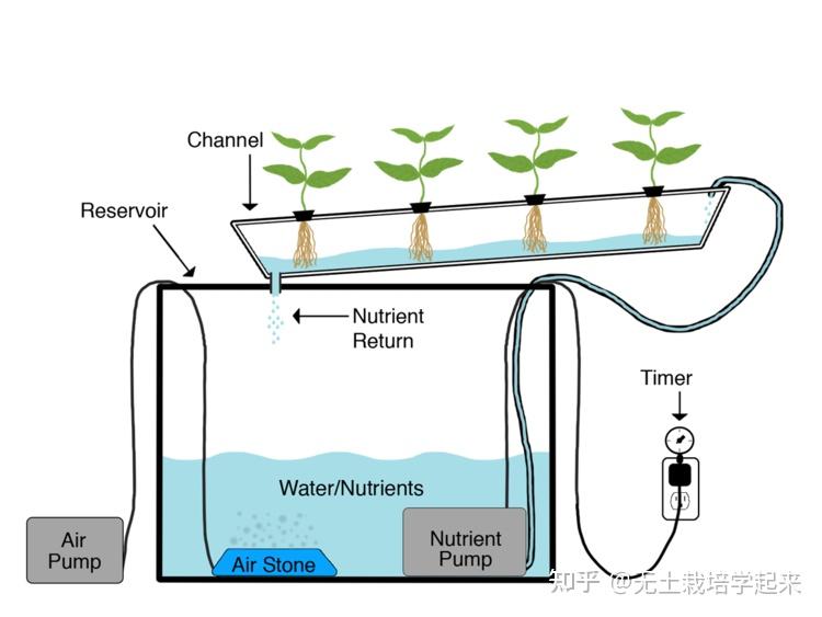 在无土栽培水培法中,有几种技术可以优化种植操作